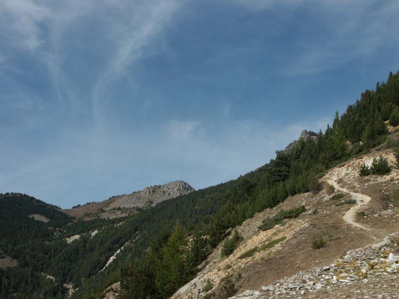 PICT0009