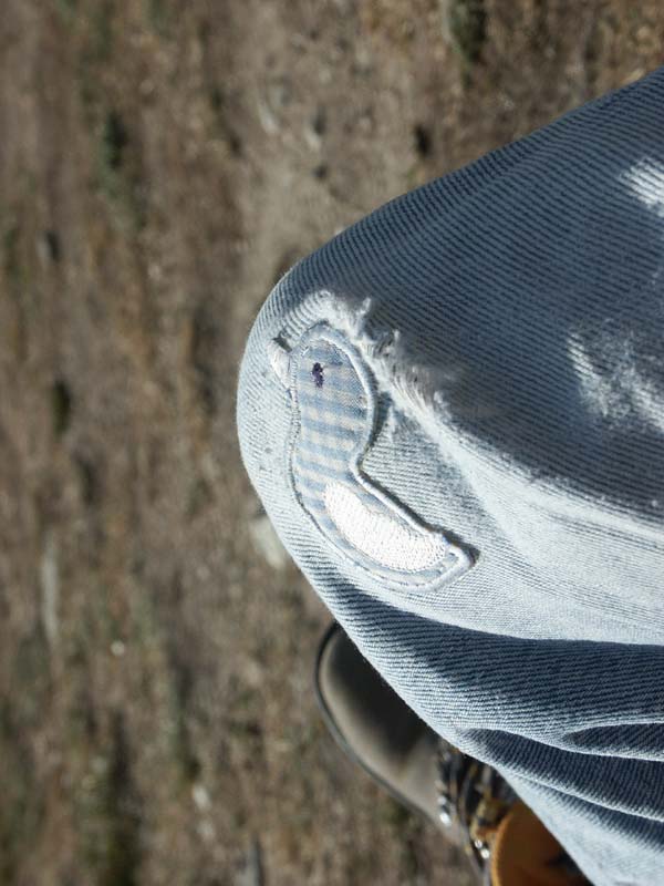 PICT0033