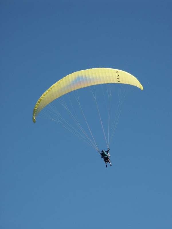PICT0020