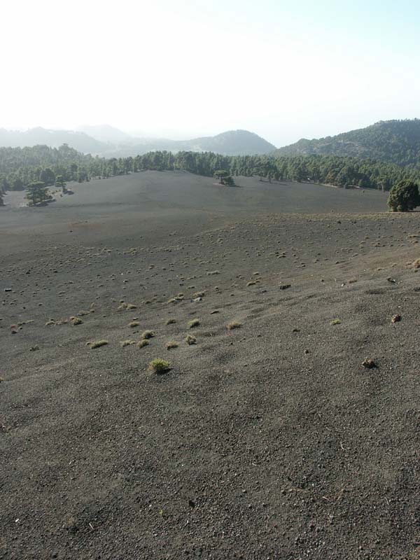 PICT10067