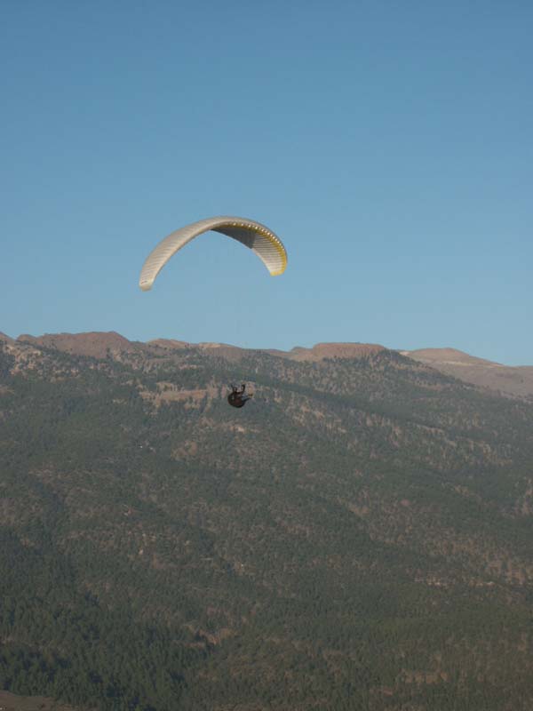 PICT20019