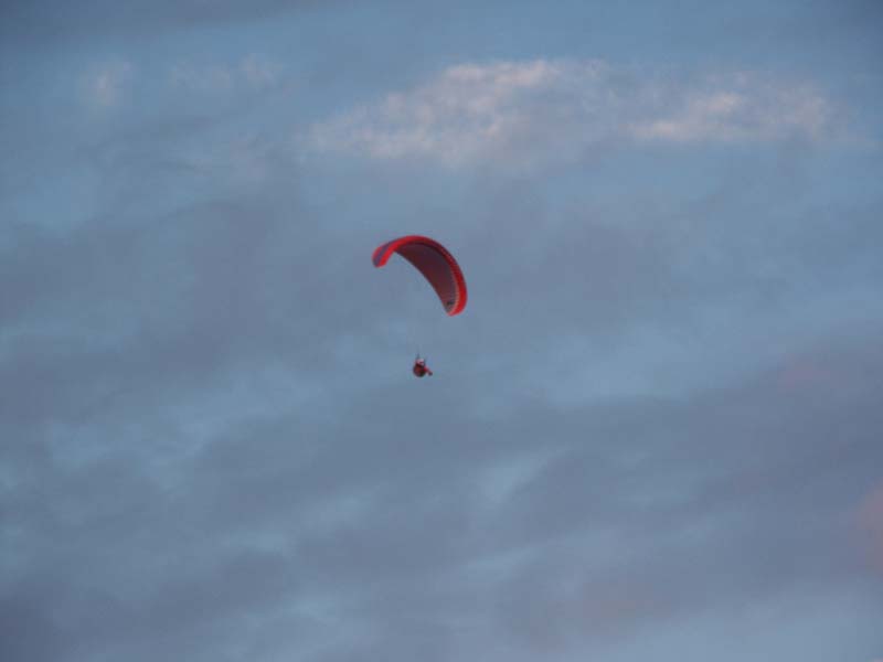 PICT0011