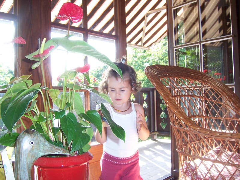 2008-08-07_173017
