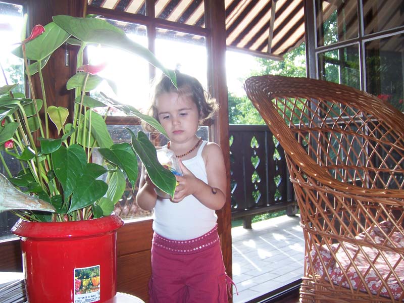 2008-08-07_173025