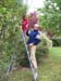 2008-09-15_155520